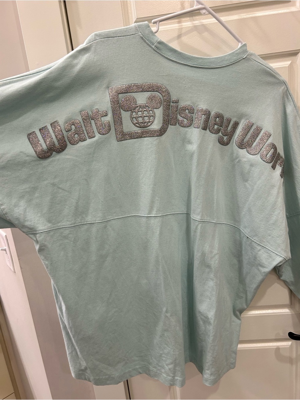 Disneyworld teal Spirit Jersey